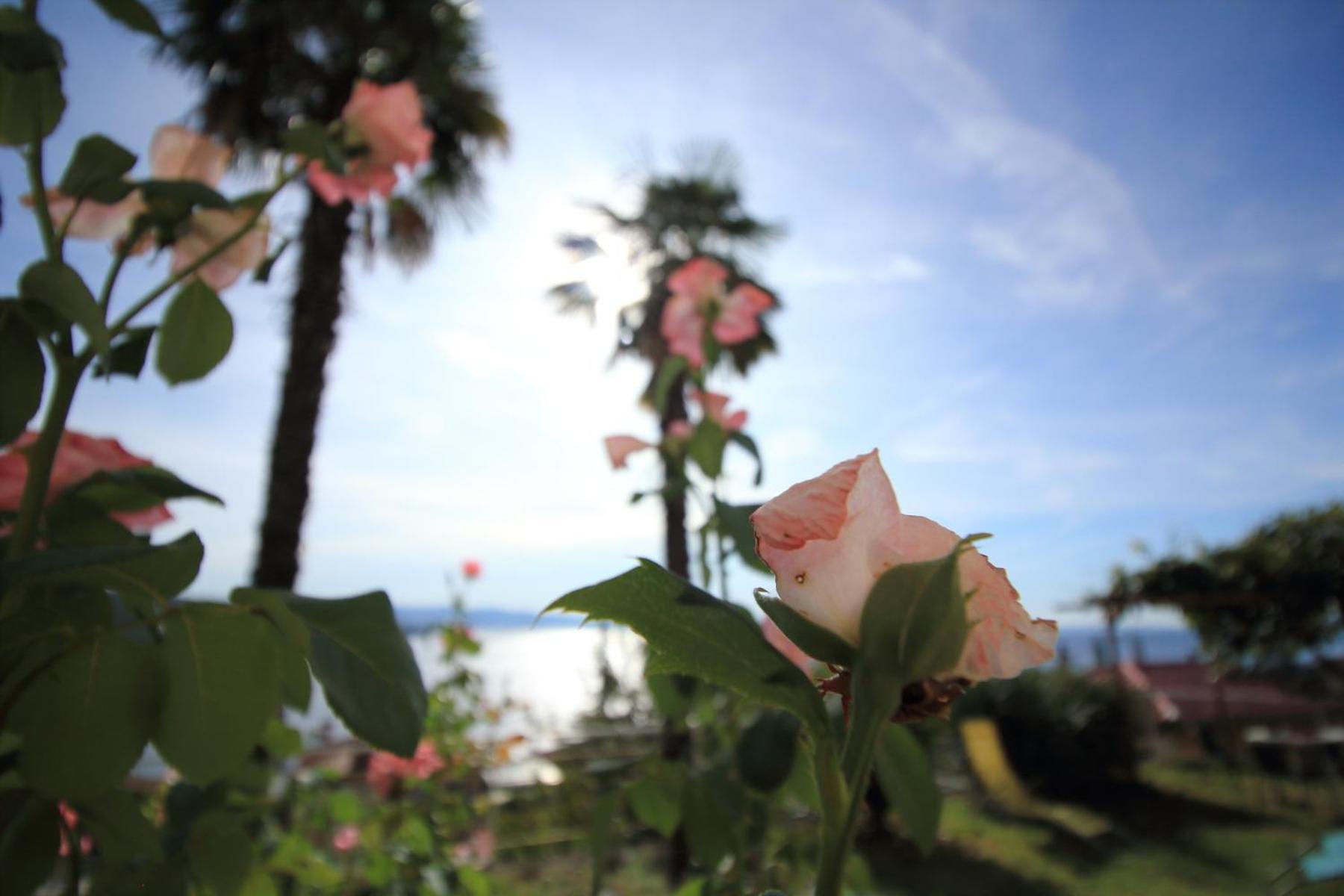 Tramontana - Cozy And Charming Close To Sea Apartament *
